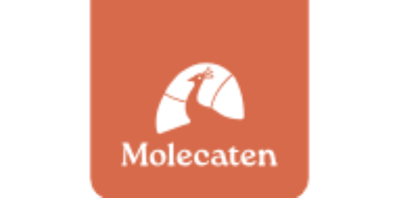 Molecaten Cadeaubon – Het Perfecte Cadeau voor Iedere Vakantieliefhebber